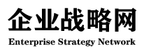 企业战略网